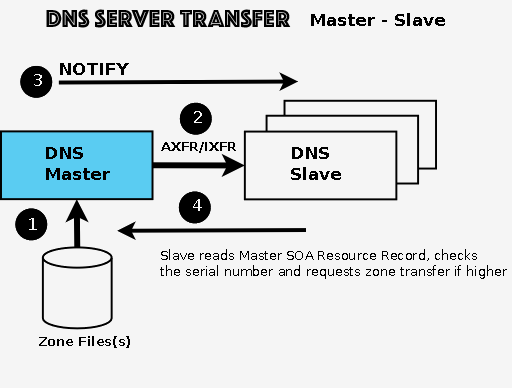 dns-server-transfer-2.png